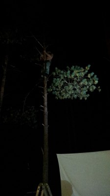 20150919_234803.jpg