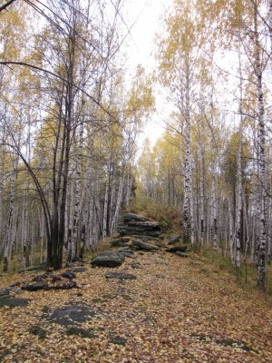 IMG_4980_resize.JPG