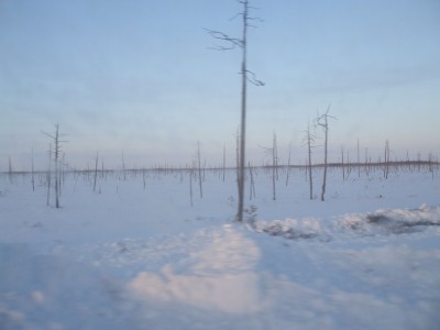 image (12).jpg