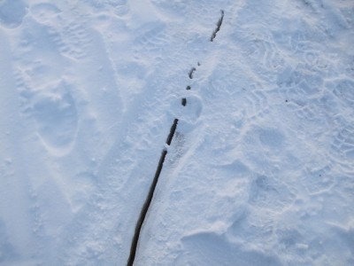 image (16).jpg