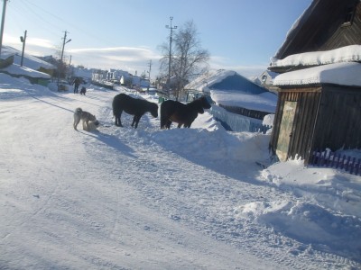 image (17).jpg