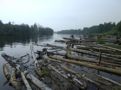 image (9).jpg