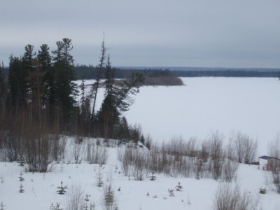image (1).jpg