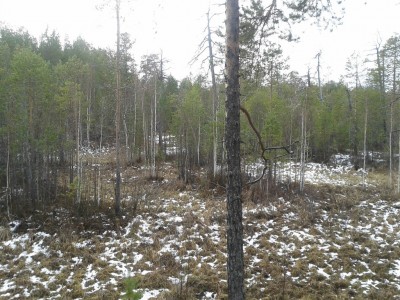 image (8).jpg