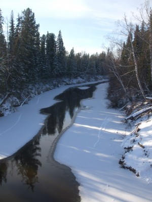 image (10).jpg