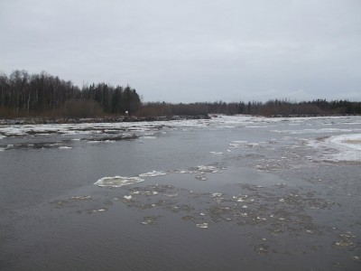image (11).jpg