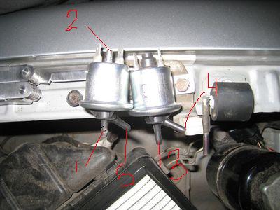 normal_IMG_1025.JPG