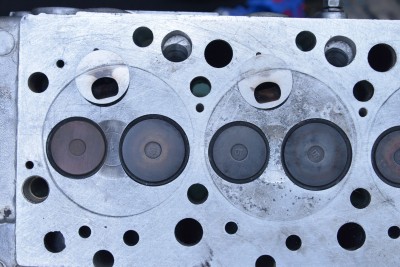 TKM_9718_1.jpg
