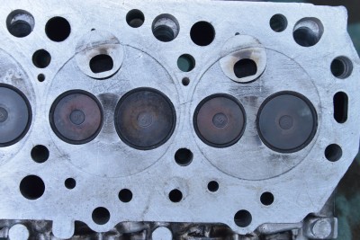 TKM_9719_1.jpg