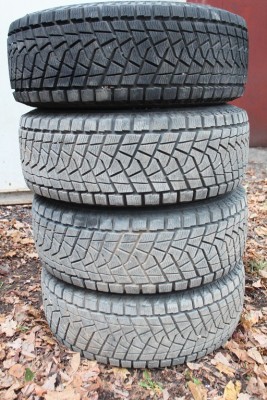 th_IMG_0515.jpg