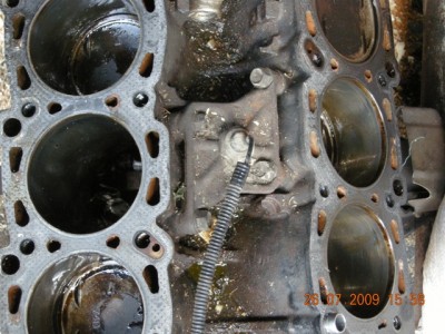 DSCN1989.JPG