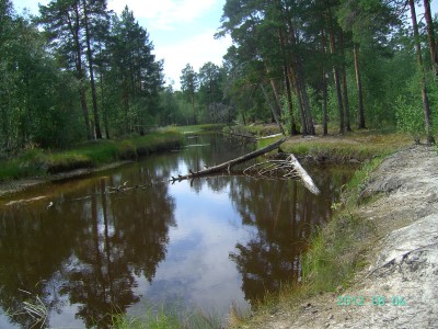 речка ЕНА.JPG