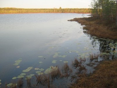 IMG_1635.JPG