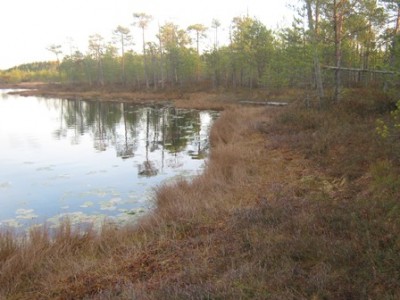 IMG_1638.JPG