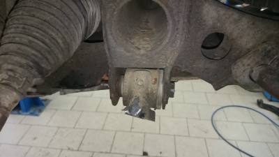 DSC_4396.JPG