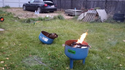 20151024_154132.jpg