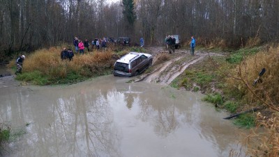 Бродик