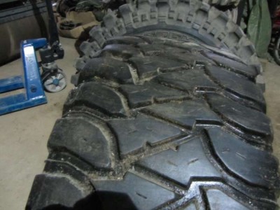 IMG_1725_thumb.jpg