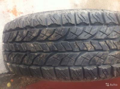 2012109651.jpg
