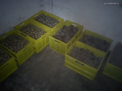 GAP_E10_00255.JPG (66.27 КБ) 1265 просмотров Ящик МЕТРО