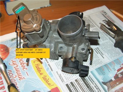 7e910c4891fc.jpg