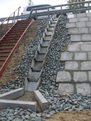 DSCF8293.jpg
