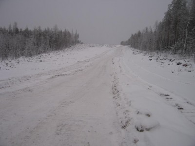 IMG_2445.jpg