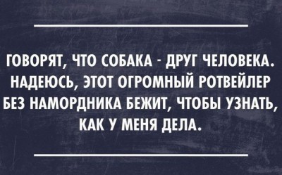 sRo6XXQBk9M.jpg