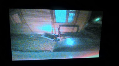 image.jpeg