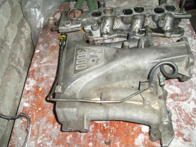 RIMG5532.JPG