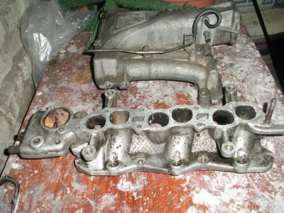 RIMG5533.JPG