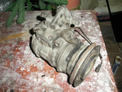 RIMG5539_500x375.jpg