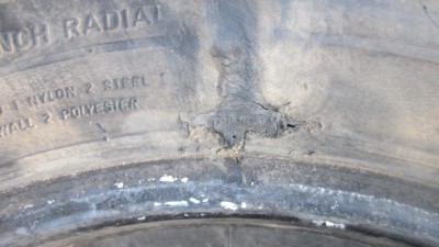 IMG_6321.JPG