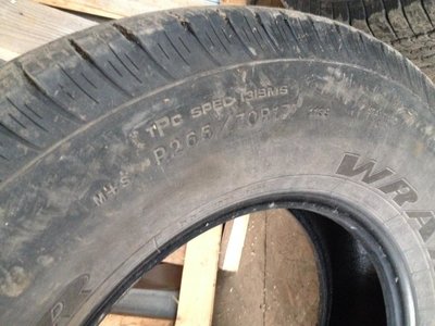 image (5).jpg