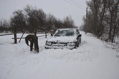 DSC_0008.jpg