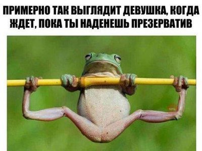 smeshnie_kartinki_144792719249.jpg