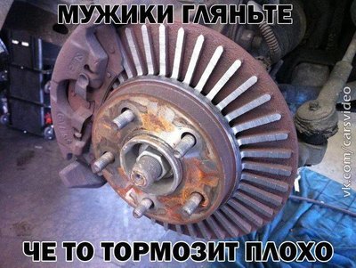 1361499121_11.jpg