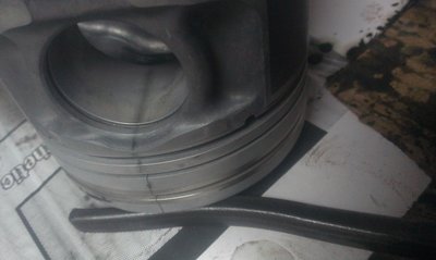 IMAG0456.jpg