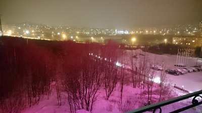 DSC_0520.JPG
