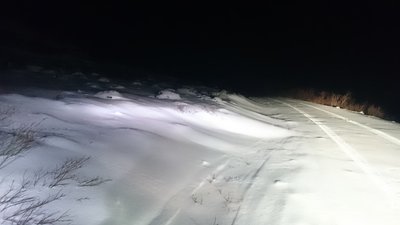 DSC_0428.JPG