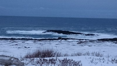 DSC_0464.JPG