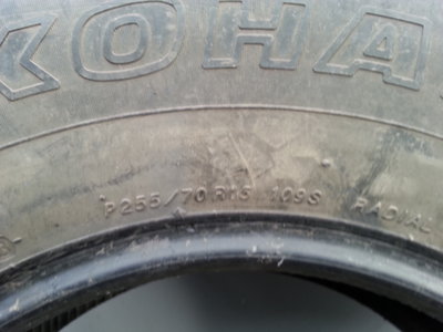 20151003_120529.jpg