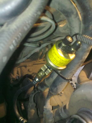 normal_03072009026.jpg