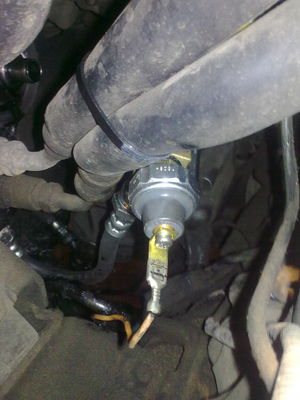 normal_03072009027.jpg