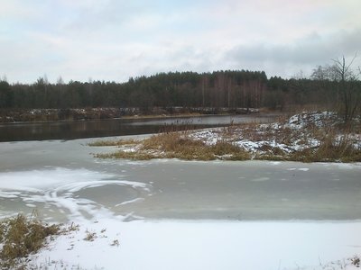 DSC_0971.JPG