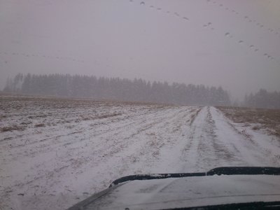 DSC_0990.JPG