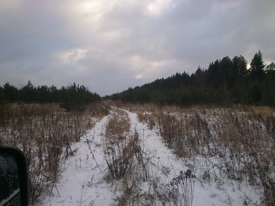 DSC_0993.JPG