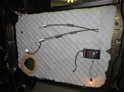 IMG_4524.jpg