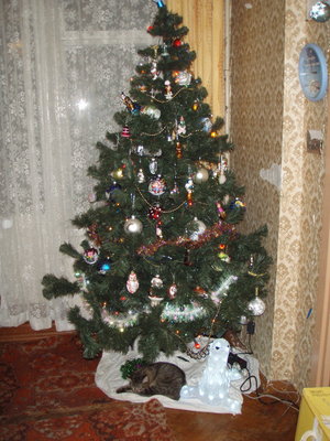 PC310014.JPG