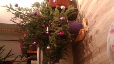 P_20151231_194647.jpg